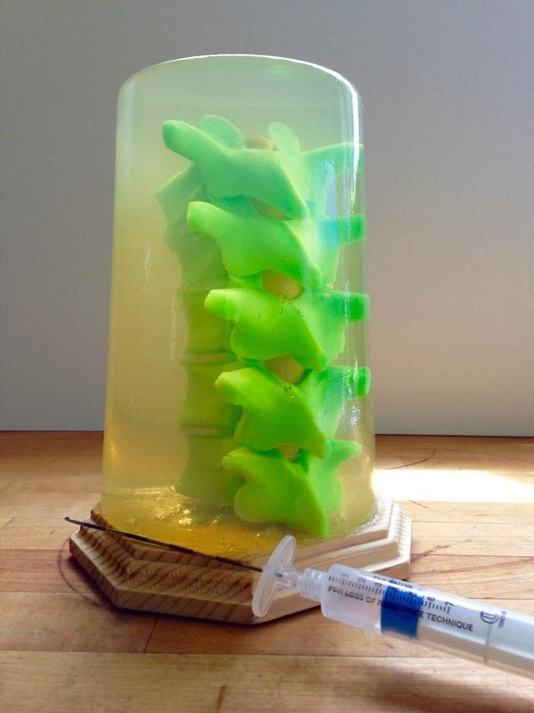 Educational Model for Thoracic Epidural Procedure