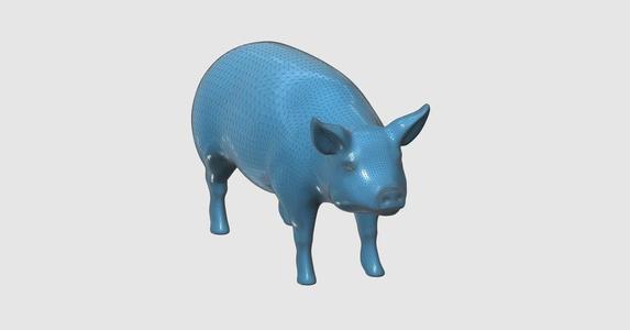 Pig