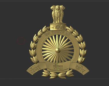 Indian Police Military Navy Air Force CAST Safe Plaque Plate