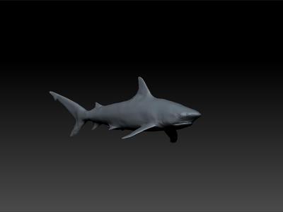 Shark - realistic shark - shark for game unity3d - ue5