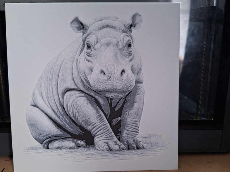 Black and white - hippo calf - hueforge 2 colours