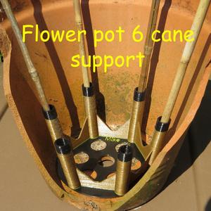 Flower pot x6 cane support