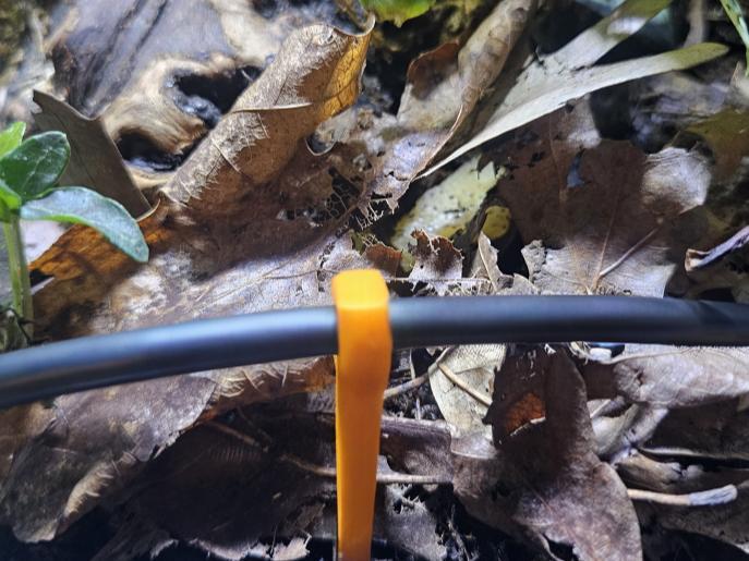 Drip irragation Stake  for 1/4" Tube