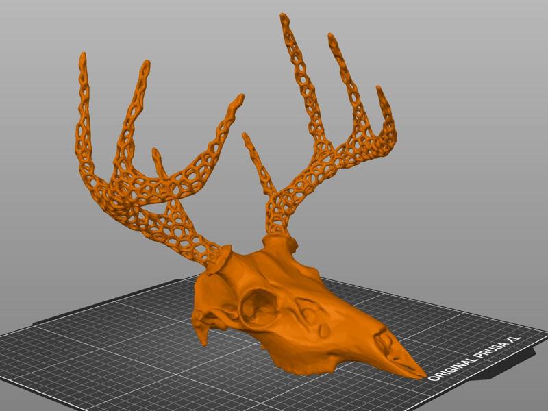 Buck Skull - Voronoi Antlers
