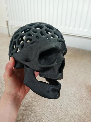 Voronoi skull skull