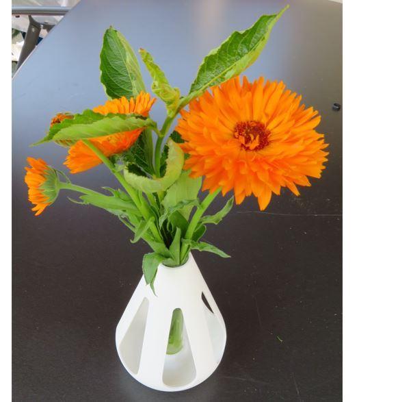 Tropfenvase Höhe 150 mm, TABLE VASE WITH LABORATORY TUBE OR TEST TUBE. DIAMETER 24 BIS 25 MM, sowie 30mm. VASE DECO, DEKO