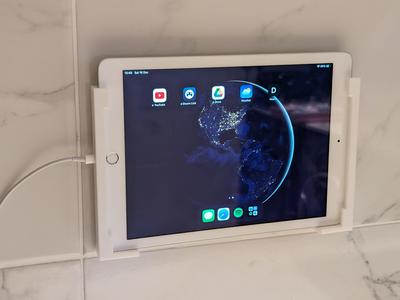 iPad mount