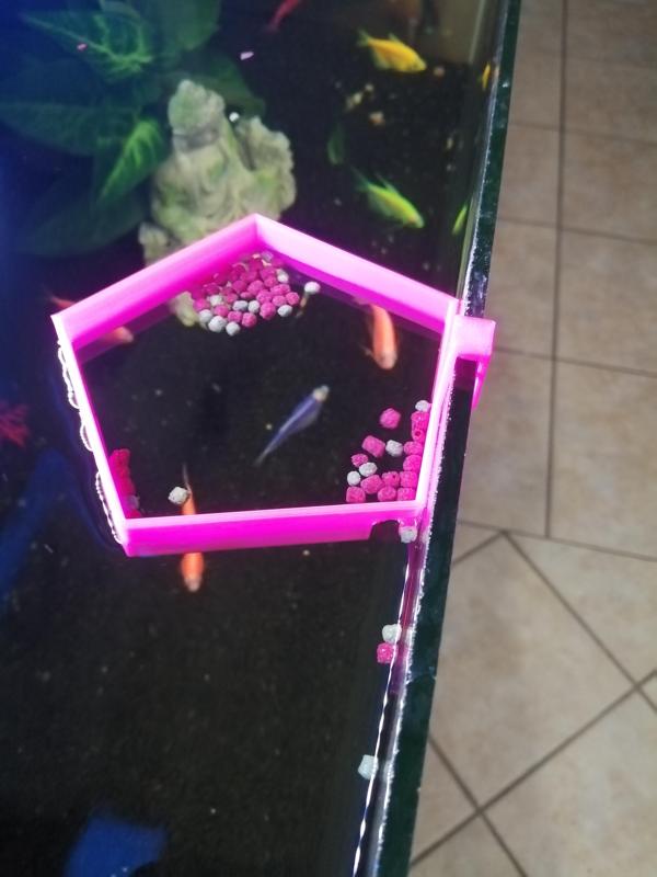 Fish Feeding Ring