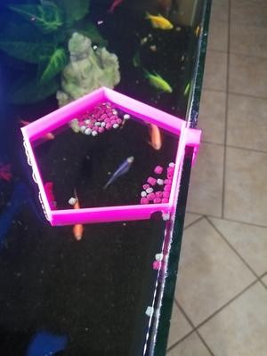 Fish Feeding Ring