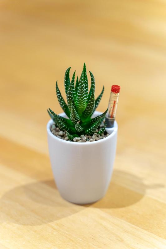 small hydroponic, self watering planter