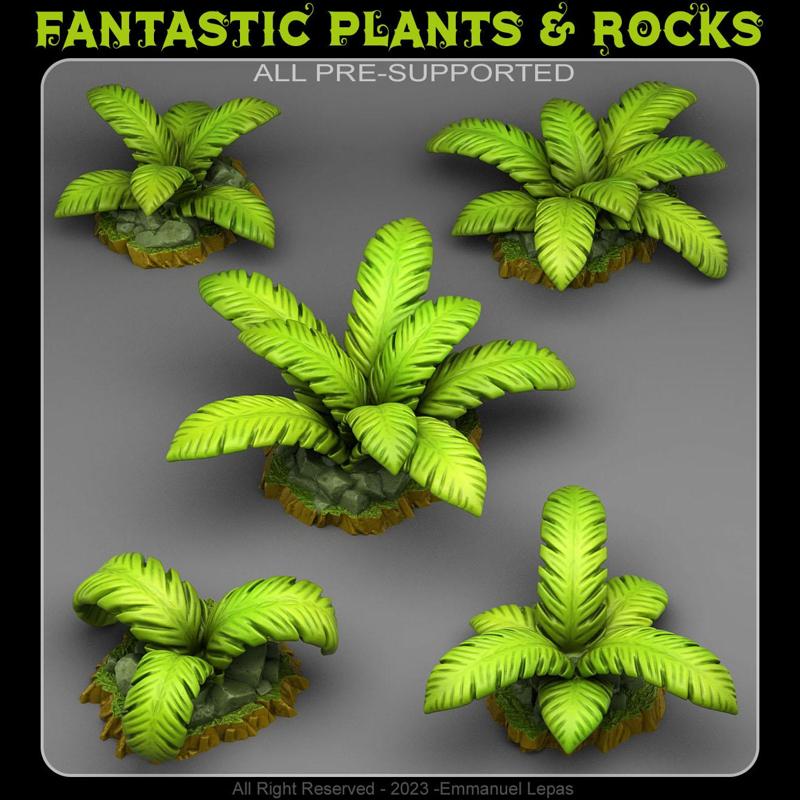 TROPICAL ISLAND PLANTS