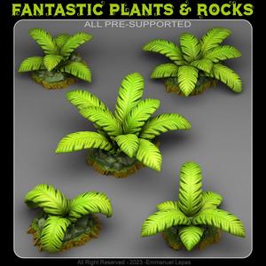 TROPICAL ISLAND PLANTS