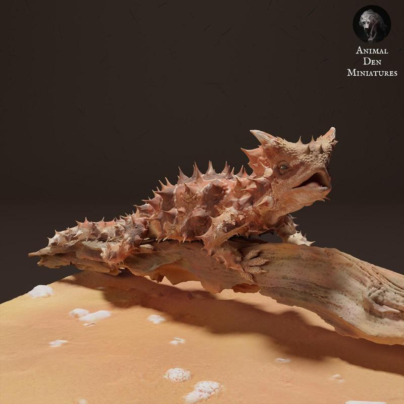 Thorny Devil on Branch