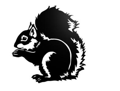 Squirrel wall decor