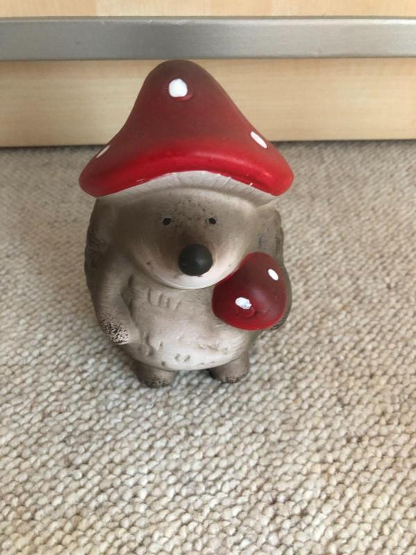 Cute Hedgehog with mushroom hat