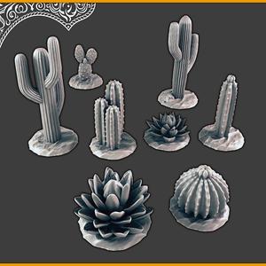 Desert plants / cactus [Support-free]