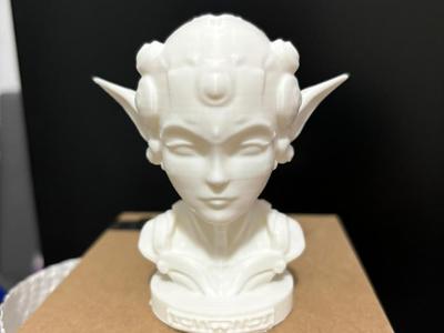 Future_elf