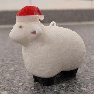 Christmas Sheep
