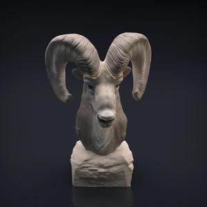 Ram Bust