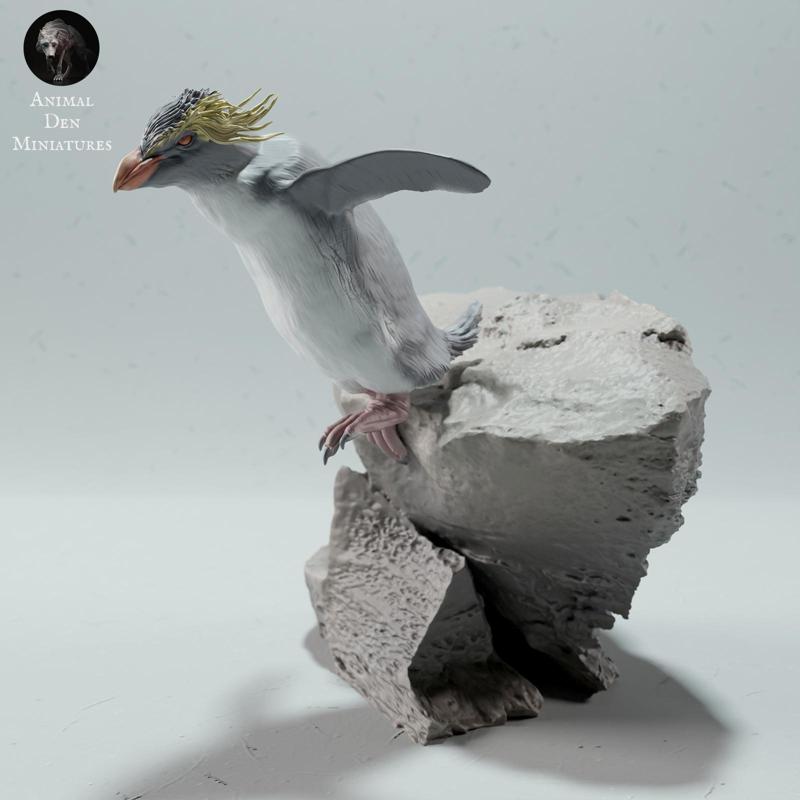 Rockhopper Penguin Jump