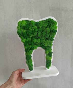 Tooth moss