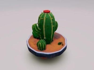 mini cactus in a pot