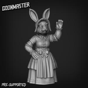 Rabbit Villager 3