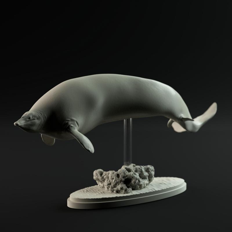 Perucetus colossus 1-100 scale pre-supported prehistoric whale