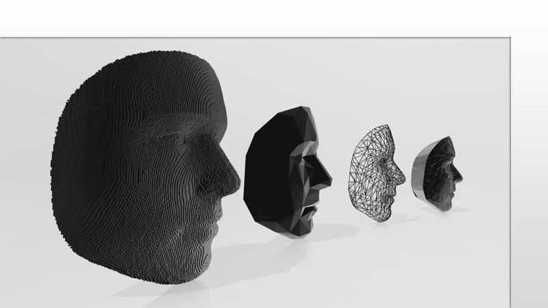 Human Face - Voxel - LowPoly - Wireframe 3D Model Print