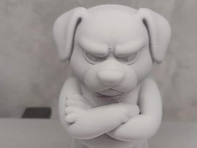 Angry Dog