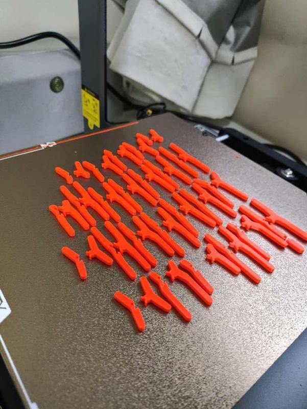 Mitosis and Meiosis Kit