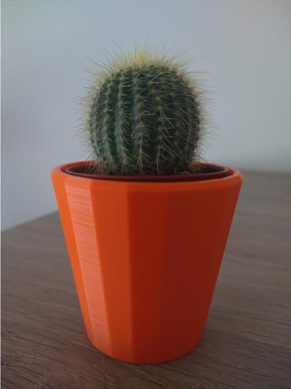 Mini Cactus Pot