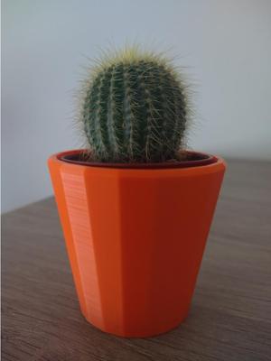 Mini Cactus Pot