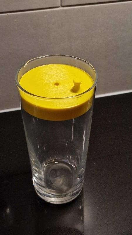 Fruit Fly Trap