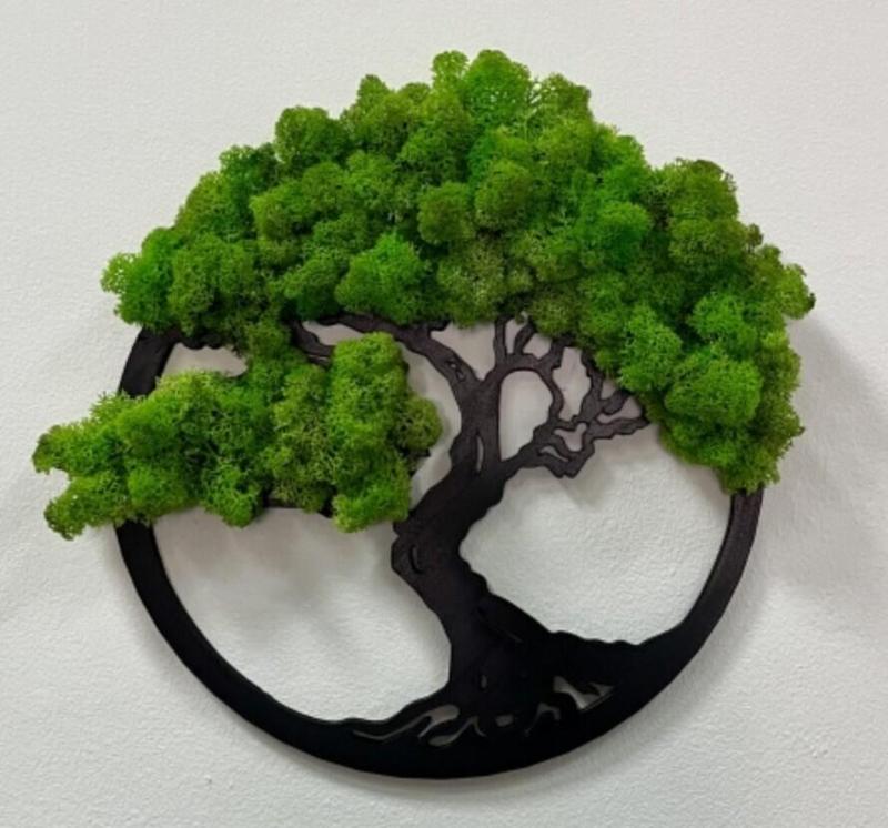 Panel /Wall art Bonsai