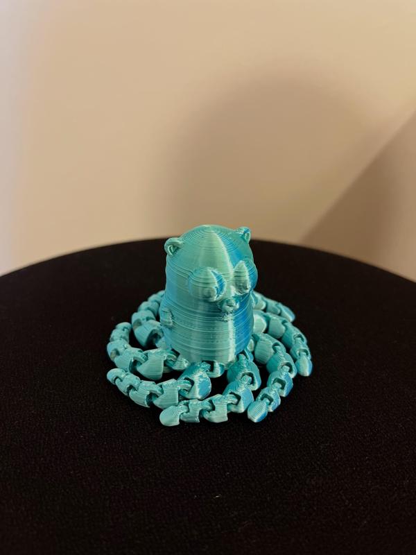 Gopher Octopus