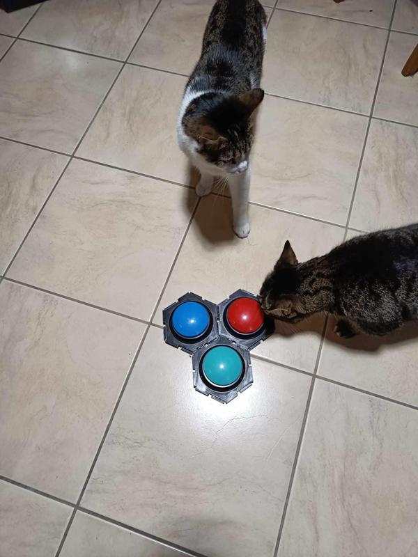 Hexagonal talking dog / cat buttons holder