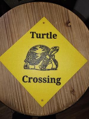 Turtle crossing sign