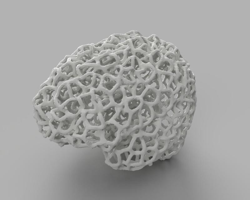 My own brain - voronoi