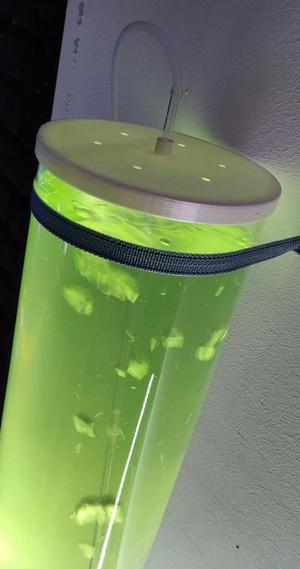 Tapa para tanque de Fitoplancton / Fitoplancon tank cover