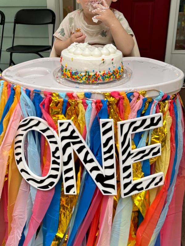 Wild ONE ~ Birthday Party Decor