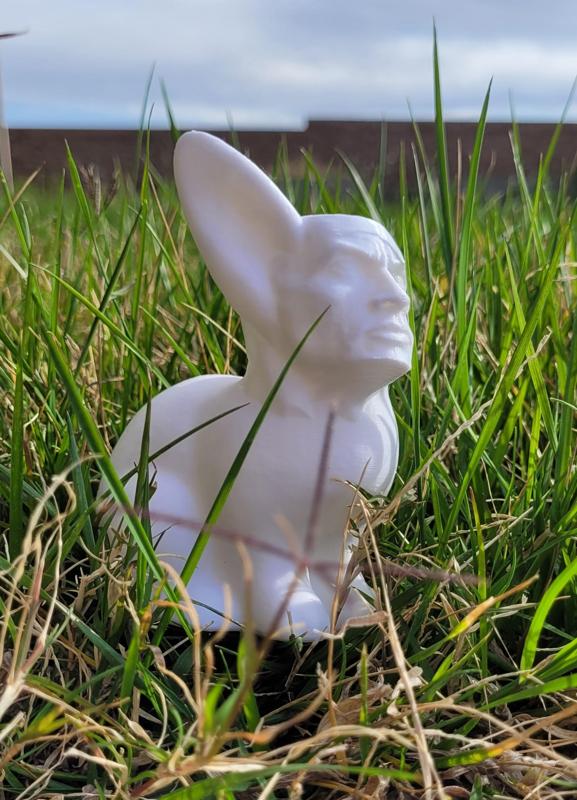 Dwyane the bunny Johnson