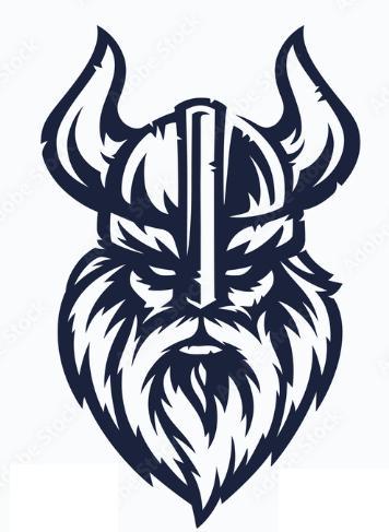 Nordic viking logo