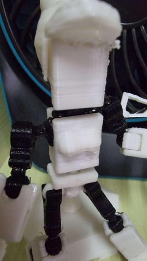 Mini 13 Female Torso