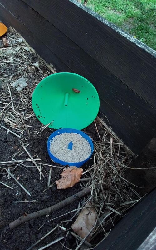 Schneckenfalle /  snail trap