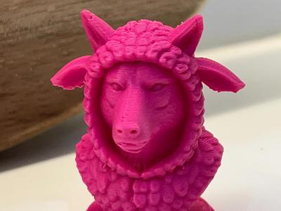 Wolf in Sheep’s Clothes