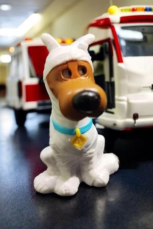 Scooby-Doo (Bevetés után bekötözve :) )