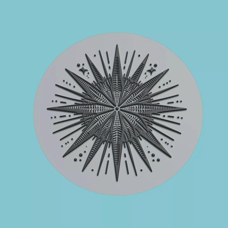 Sea urchin Animal Medallion Sea urchin Print Model