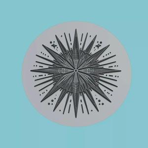 Sea urchin Animal Medallion Sea urchin Print Model