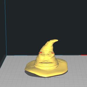 Harry Potter Hat